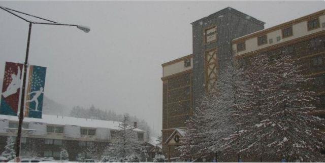 Wisp Resort Hotel And Conference Center МакХенри Екстериор снимка